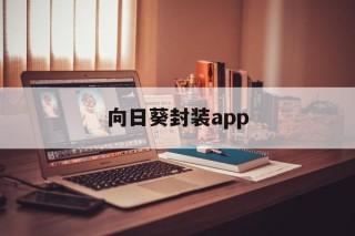 向日葵封装app的简单介绍