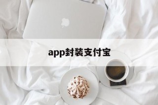 app封装支付宝的简单介绍