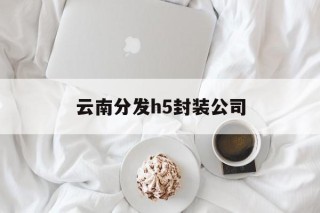 关于云南分发h5封装公司的信息