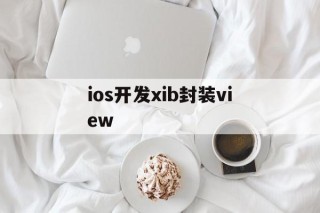 ios开发xib封装view的简单介绍