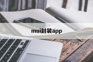 关于mui封装app的信息