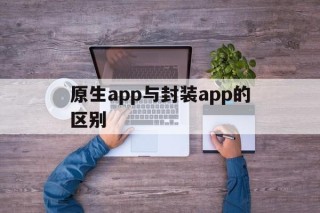 包含原生app与封装app的区别的词条