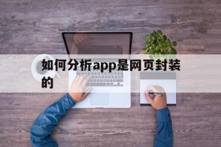 如何分析app是网页封装的 - APK报毒处理平台-apk防红链接-防封链接-安卓过毒免杀-稳定不掉签名TG:@AICDN8