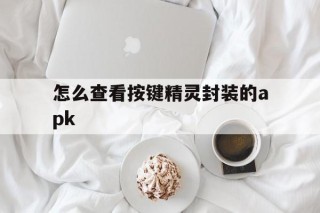 怎么查看按键精灵封装的apk的简单介绍