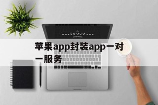 关于苹果app封装app一对一服务的信息