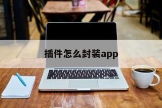 插件怎么封装app的简单介绍