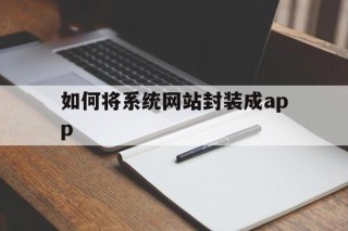 包含如何将系统网站封装成app的词条