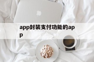 app封装支付功能的app的简单介绍