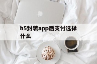 h5封装app后支付选择什么 - APK报毒处理平台-apk防红链接-防封链接-安卓过毒免杀-稳定不掉签名TG:@AICDN8