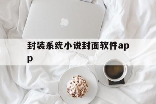 关于封装系统小说封面软件app的信息