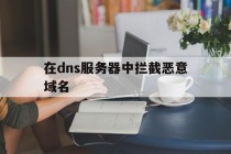 关于在dns服务器中拦截恶意域名的信息