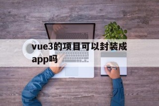 vue3的项目可以封装成app吗的简单介绍