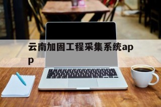 云南加固工程采集系统app的简单介绍