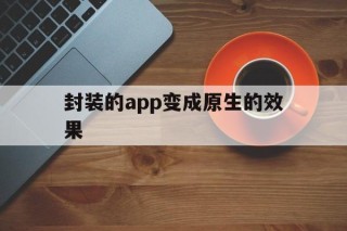 封装的app变成原生的效果 - APK报毒处理平台-apk防红链接-防封链接-安卓过毒免杀-稳定不掉签名TG:@AICDN8