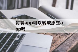 封装app可以转成原生app吗的简单介绍