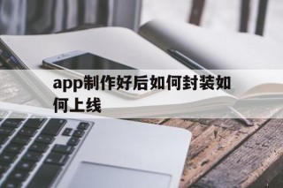 关于app制作好后如何封装如何上线的信息