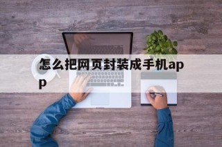 包含怎么把网页封装成手机app的词条