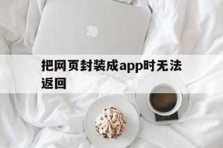 包含把网页封装成app时无法返回的词条