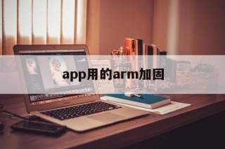 包含app用的arm加固的词条