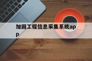 加固工程信息采集系统app的简单介绍