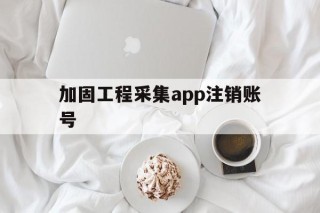 包含加固工程采集app注销账号的词条