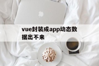 vue封装成app动态数据出不来的简单介绍