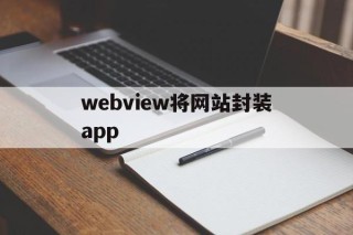 关于webview将网站封装app的信息