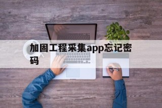 关于加固工程采集app忘记密码的信息