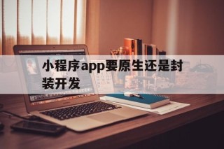 小程序app要原生还是封装开发 - APK报毒处理平台-apk防红链接-防封链接-安卓过毒免杀-稳定不掉签名TG:@AICDN8