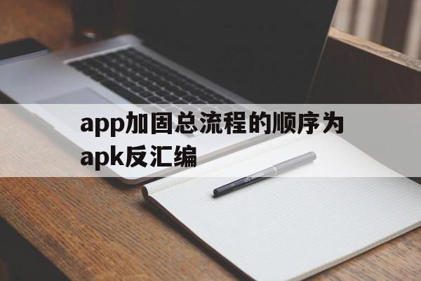 关于app加固总流程的顺序为apk反汇编的信息  第1张