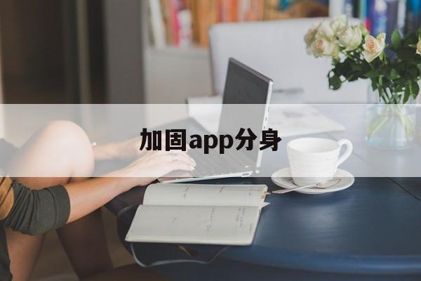 关于加固app分身的信息  第1张