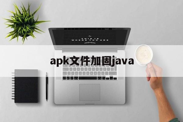 关于apk文件加固java的信息  第1张