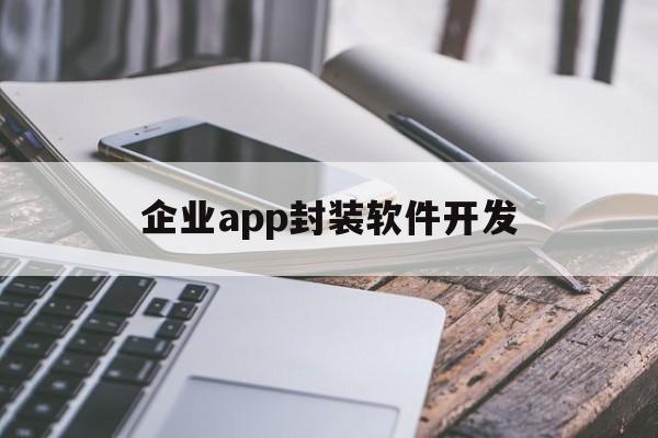 企业app封装软件开发的简单介绍  第1张