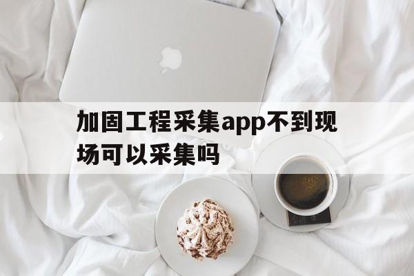 包含加固工程采集app不到现场可以采集吗的词条  第1张