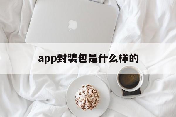 app封装包是什么样的 - APK报毒处理平台-apk防红链接-防封链接-安卓过毒免杀-稳定不掉签名TG:@AICDN8  第1张