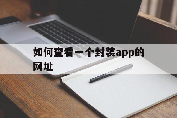 如何查看一个封装app的网址 - APK报毒处理平台-apk防红链接-防封链接-安卓过毒免杀-稳定不掉签名TG:@AICDN8  第1张