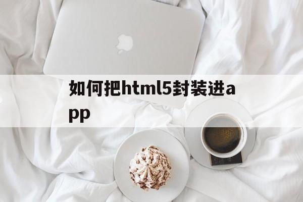 如何把html5封装进app - APK报毒处理平台-apk防红链接-防封链接-安卓过毒免杀-稳定不掉签名TG:@AICDN8  第1张