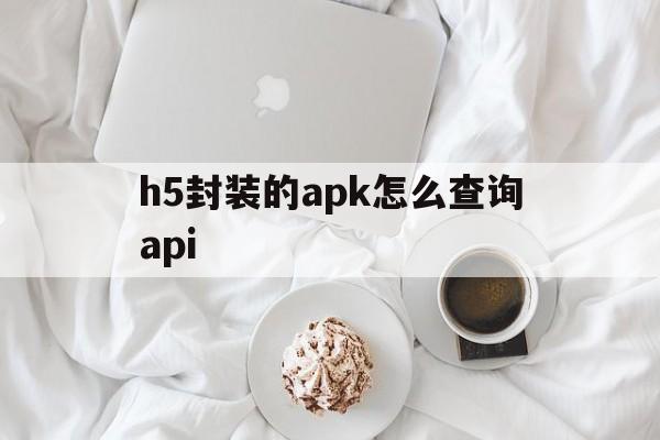 包含h5封装的apk怎么查询api的词条  第1张