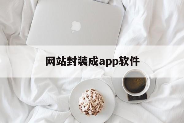 网站封装成app软件 - APK报毒处理平台-apk防红链接-防封链接-安卓过毒免杀-稳定不掉签名TG:@AICDN8  第1张