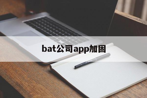 bat公司app加固的简单介绍  第1张