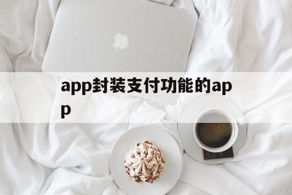 app封装支付功能的app的简单介绍  第1张