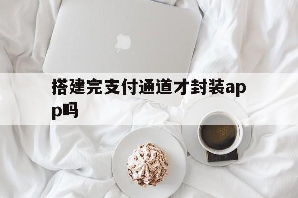 搭建完支付通道才封装app吗的简单介绍  第1张