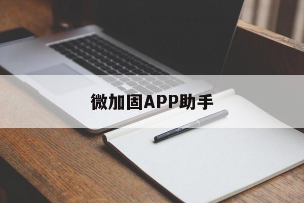 微加固APP助手的简单介绍  第1张