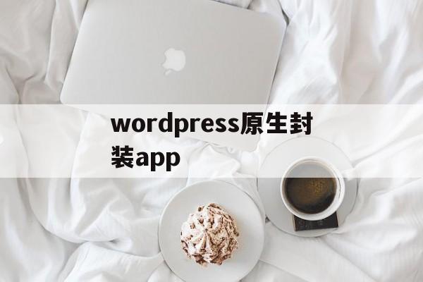 wordpress原生封装app的简单介绍  第1张